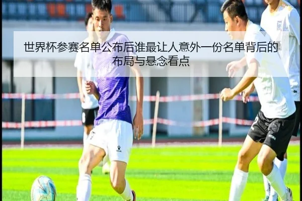 世界杯参赛名单公布后谁最让人意外一份名单背后的布局与悬念看点